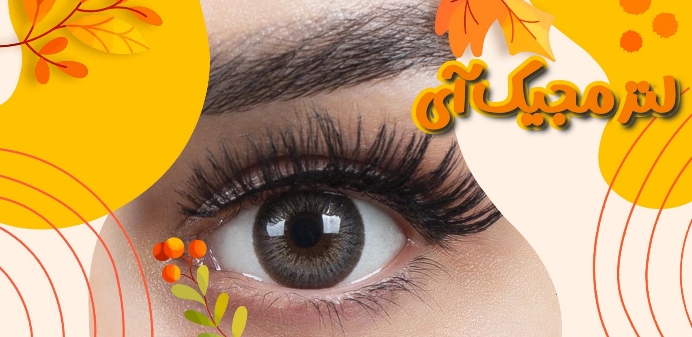 محصول ویژه ۲